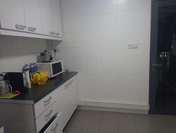 Blk 1D The Pinnacle@Duxton (Bukit Merah), HDB 4 Rooms #608034131